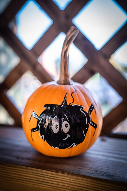 Halloween Pumpkin Spider
