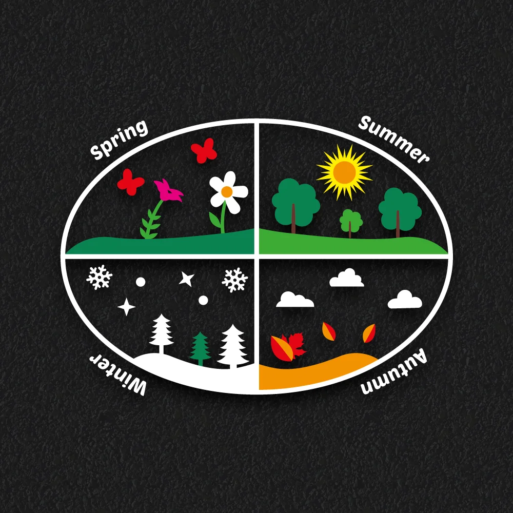 Playground Markings | Educational | Seasons Season circle playground markings with illustrations of nature