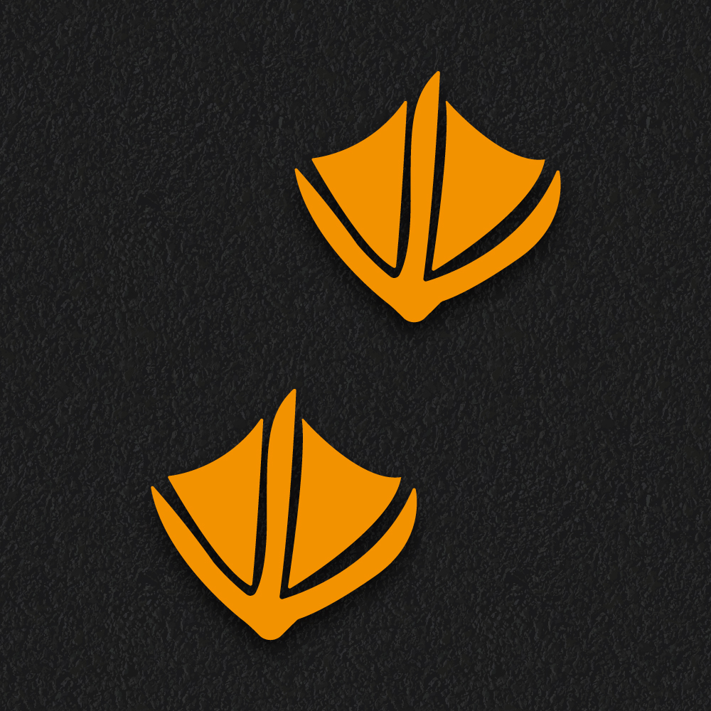 Duck Prints playground marking design