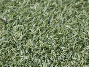 Close-up artificial grass