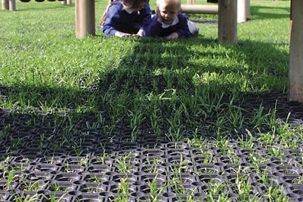 Safe grass for playground areas