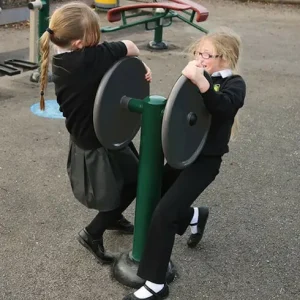 Children using dual strength challenge outdoor gym equipment for schools