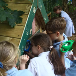 Multiple Key Stage 1 children looking into a Bug Hotel as part of nature play.