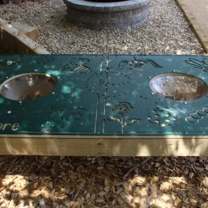 Bug Observation Table