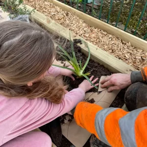 A child and an adult nurturing a plant in a planter.