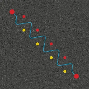 Thermoplastic Fitness markings activities skill snake
